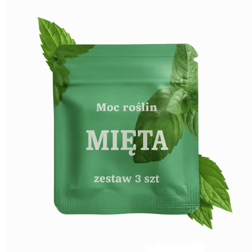 Mięta